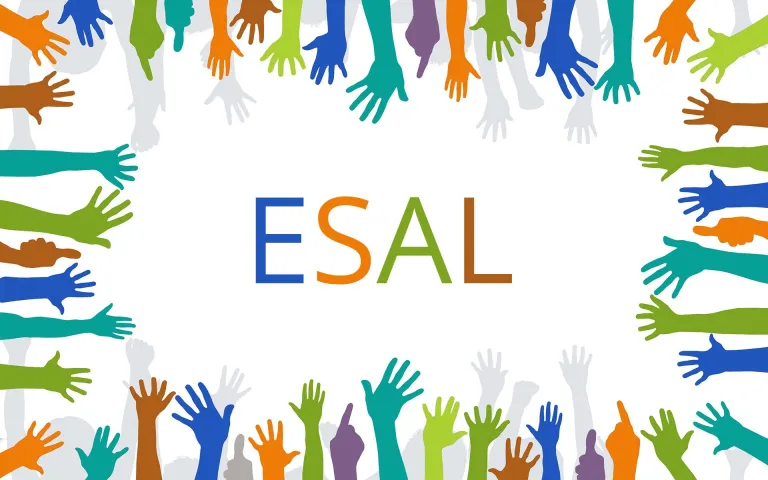 REGISTRO WEB ESAL